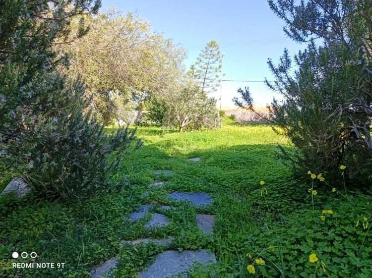 Villa Velissarios: Wonderful Villa Next To Beach Aegina Exterior photo