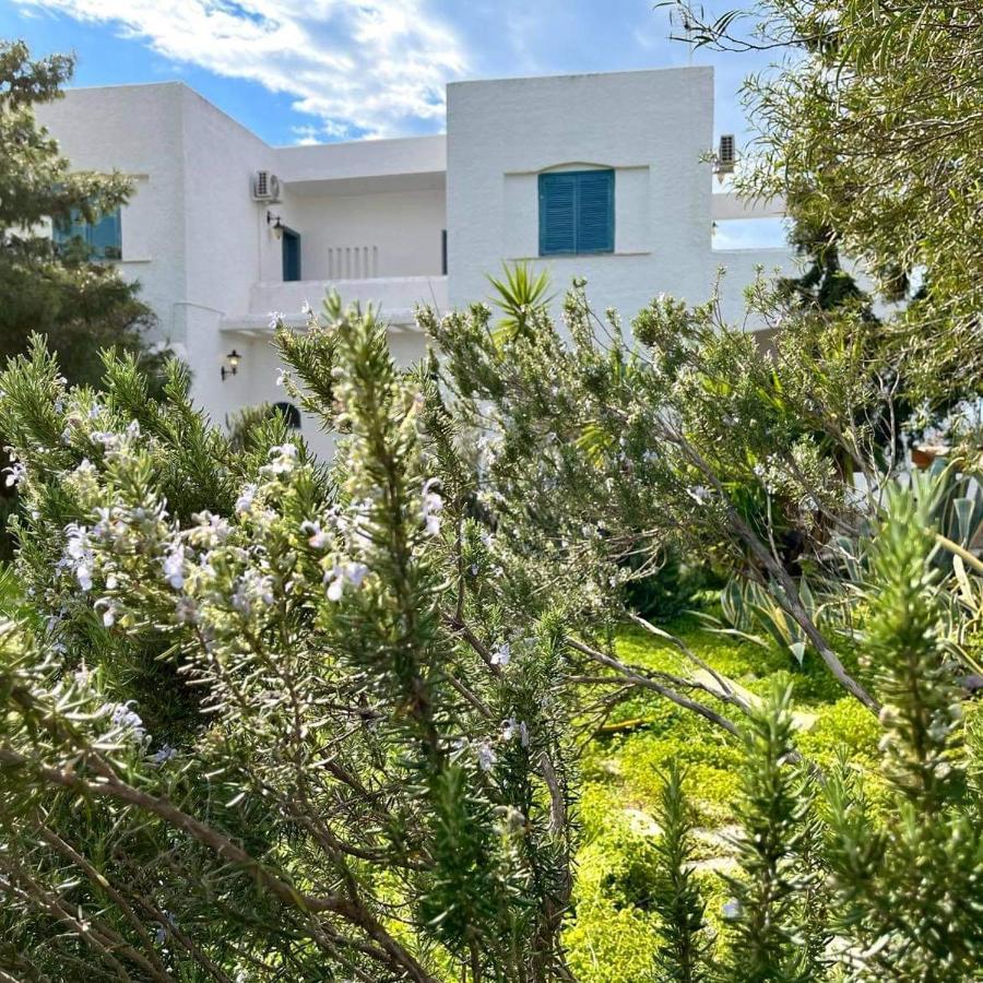 Villa Velissarios: Wonderful Villa Next To Beach Aegina Exterior photo